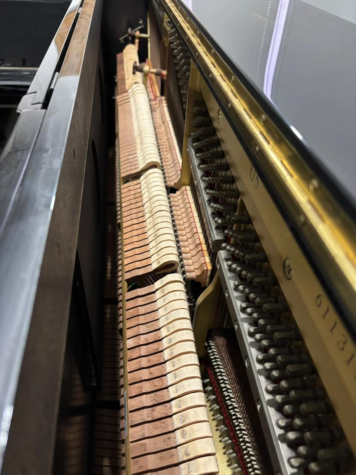 Side view of Yamaha U5 action, hammers, and strings